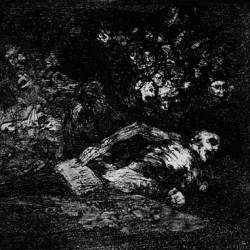 Cryptic Wanderings : Cryptic Wanderings & In the Shades